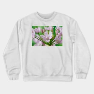 Allium unifolium  American onion Crewneck Sweatshirt